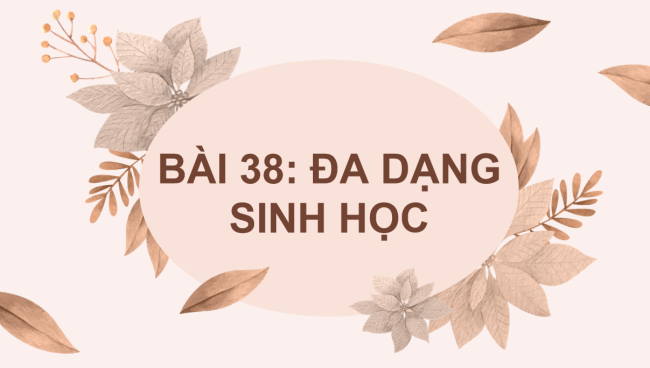 PowerPoint Khoa học tự nhiên 6 Bài 38