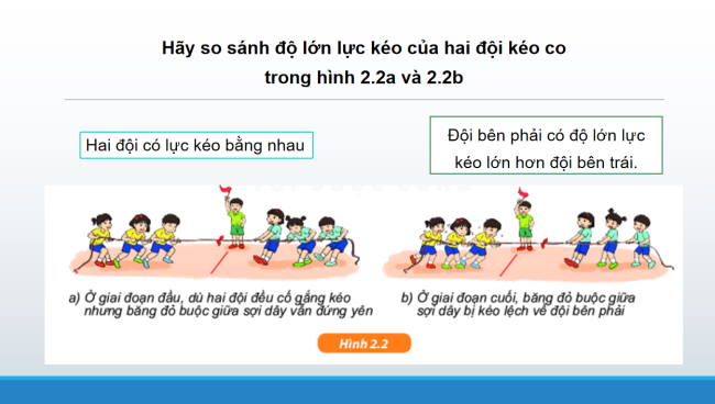 PowerPoint Khoa học tự nhiên 6 Bài 41