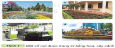 Giáo án Công nghệ 4 tích hợp NLS Học kì 1