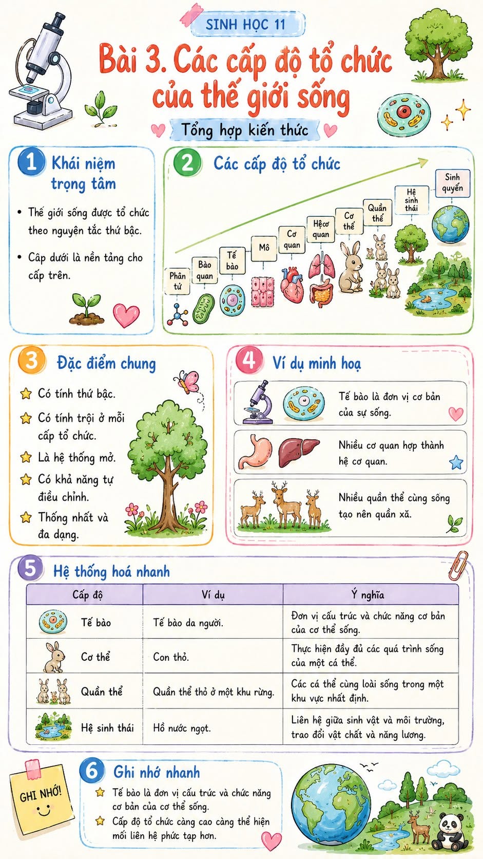Infographic lí thuyết Sinh học 10