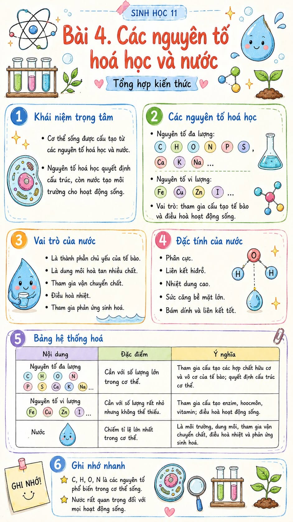 Infographic lí thuyết Sinh học 10