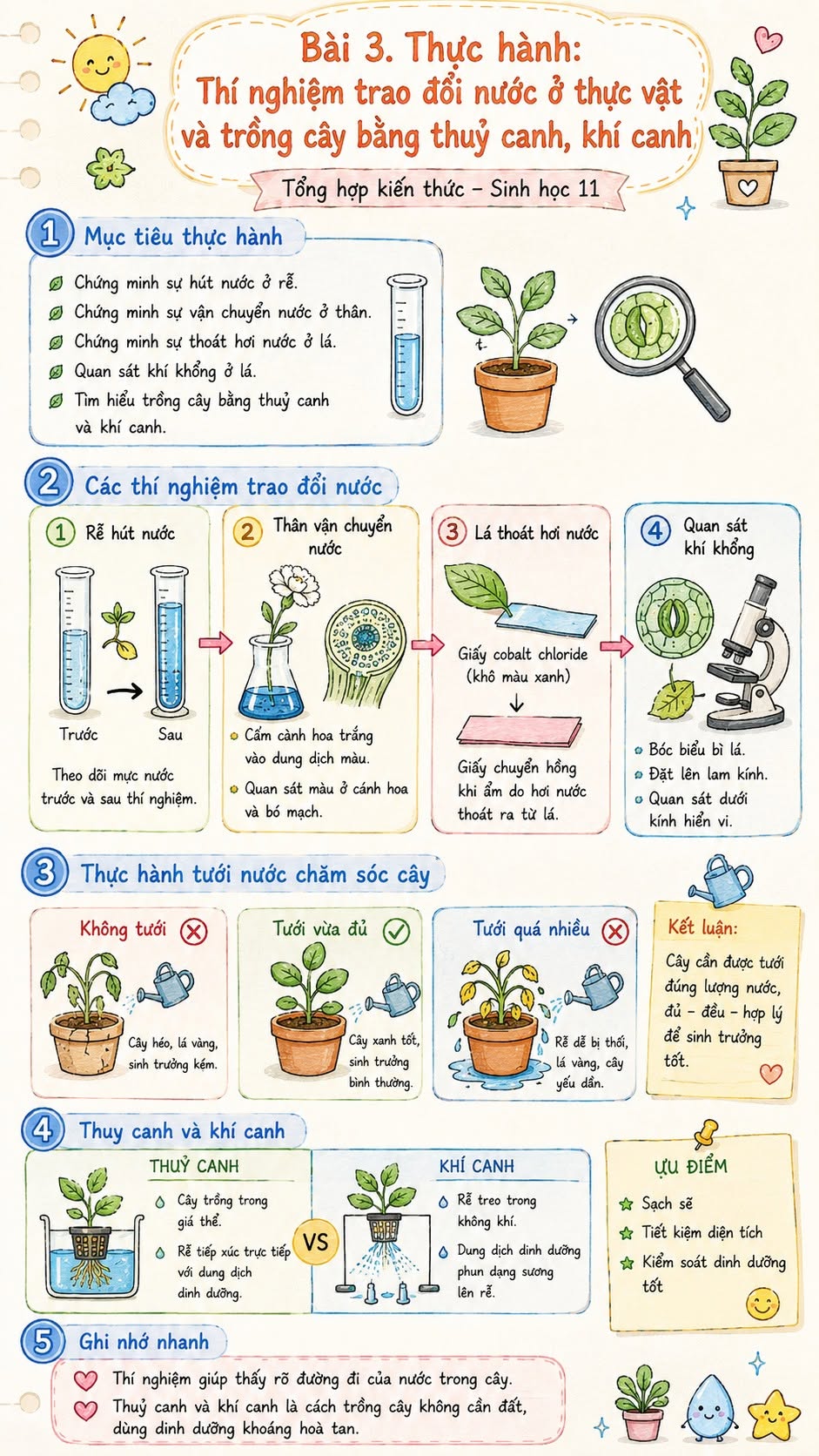 Infographic môn Sinh học 11