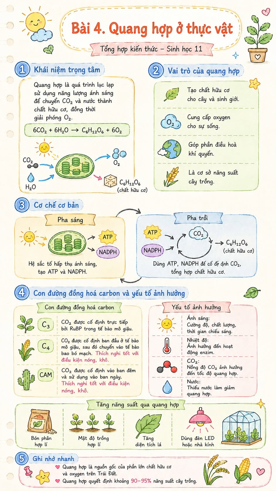 Infographic môn Sinh học 11