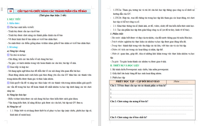 Giáo án tích hợp NLS Khoa học tự nhiên 6 Bài 19