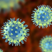 Giáo án Khoa học tự nhiên 6 Bài 29: Virus tích hợp NLS