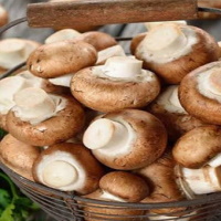 Giáo án Khoa học tự nhiên 6 Bài 32: Nấm tích hợp NLS
