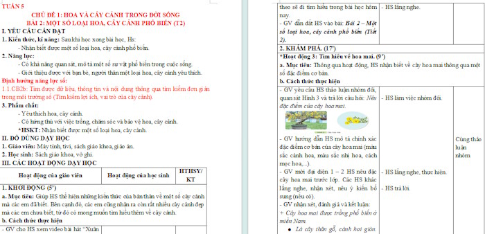 Giáo án Công nghệ 4 Bài 2: Một số loại hoa, cây cảnh phổ biến tích hợp NLS
