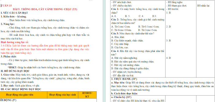 Giáo án Công nghệ 4 Bài 5: Trồng hoa, cây cảnh trong chậu tích hợp NLS