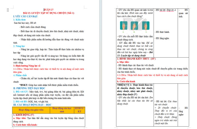 Giáo án tích hợp NLS Tin học 3 Bài 13