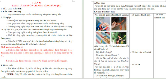 Giáo án Công nghệ 4 Bài 12: Làm chuồn chuồn thăng bằng tích hợp NLS