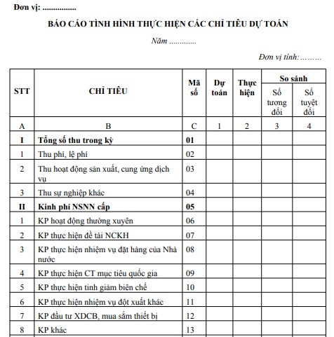 Mẫu báo cáo tình hình thực hiện các chỉ tiêu dự toán