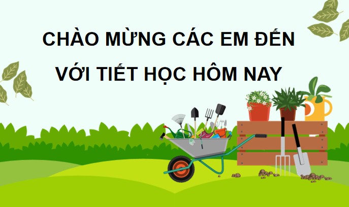 tnxh 1 b16 1*590081
