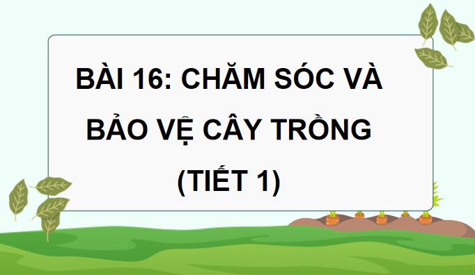 tnxh 1 b16 4*590085