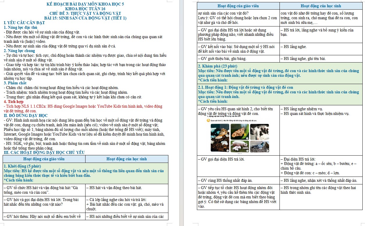 Kế hoạch bài dạy Khoa học 5 Bài 15 NLS, AI