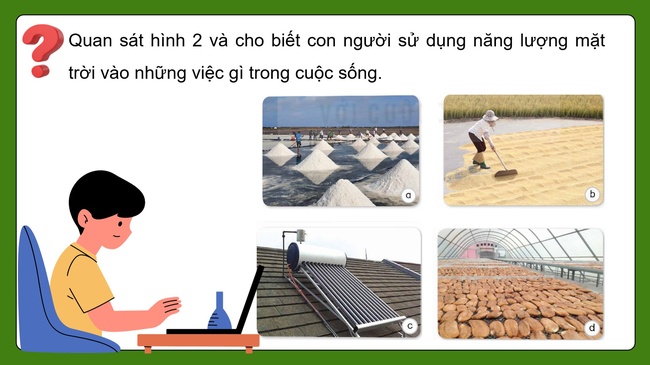 Khoa hoc 5 Bai 11 10*592886