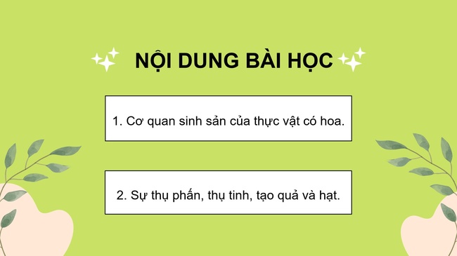 Khoa hoc 5 Bai 13 6*592898