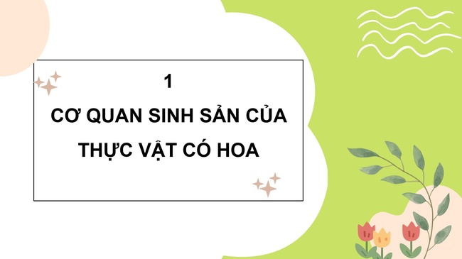 Khoa hoc 5 Bai 13 7*592899