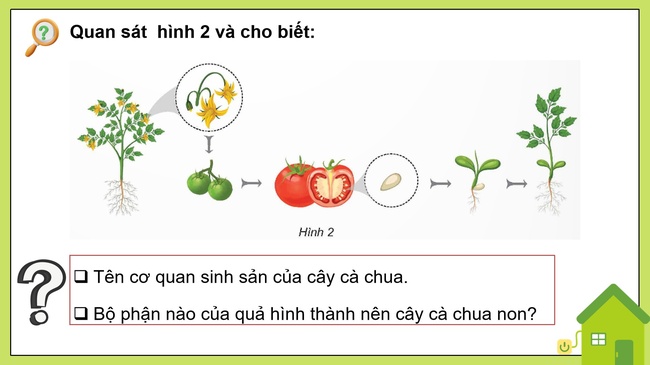 Khoa hoc 5 Bai 13 8*592900