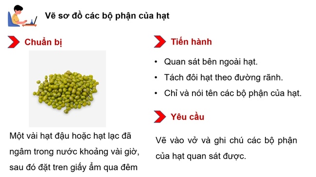 Khoa hoc 5 Bai 14 9*592905