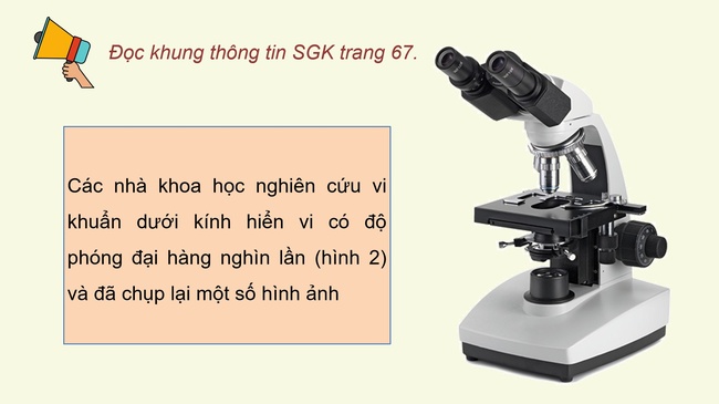 Khoa hoc 5 Bai 18 10*592918