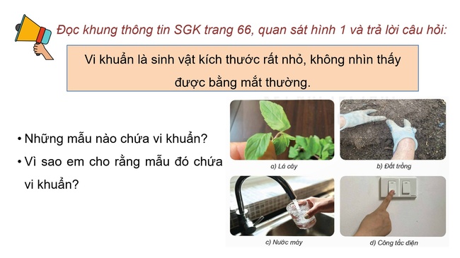 Khoa hoc 5 Bai 18 6*592914