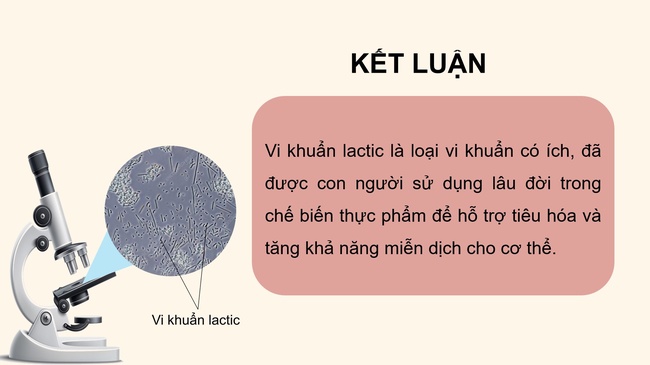 Khoa hoc 5 Bai 19 10*592925