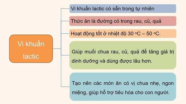 Khoa hoc 5 Bai 19 9*592926