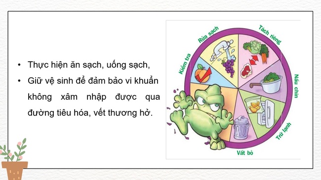 Khoa hoc 5 Bai 21 5*592940