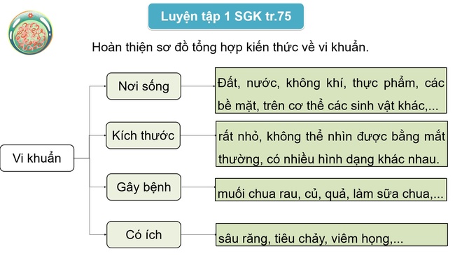 Khoa hoc 5 Bai 21 7*592941