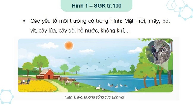 Khoa hoc 5 Bai 28 10*592990
