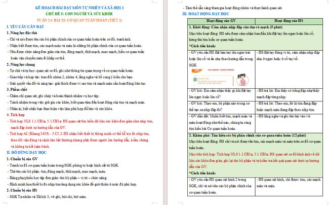Giáo án tích hợp NLS, AI TNXH 3 Bài 20