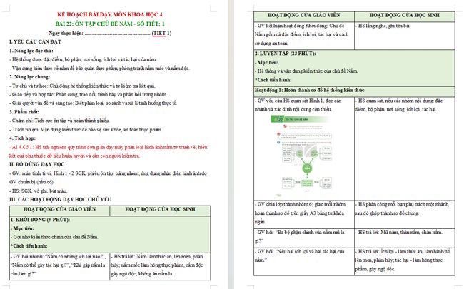 Giáo án tích hợp AI Khoa học 4 Bài 22