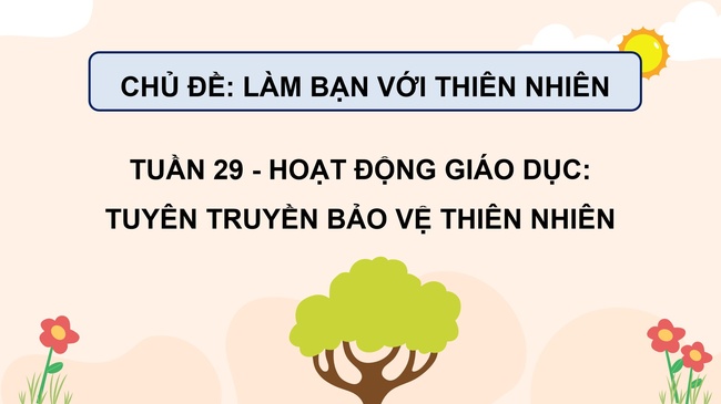 HDTN 3 Tuan 29 3*599559