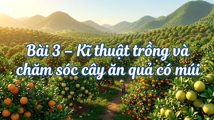 video cong nghe 9 bai3*601069