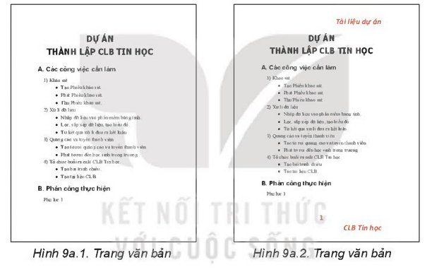 Kế hoạch bài dạy Tin học 8 tích hợp NLS HK2